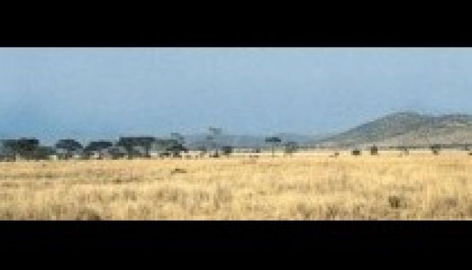 KISEBBSÉGBEN: Egy kisebbség további kisebbsége