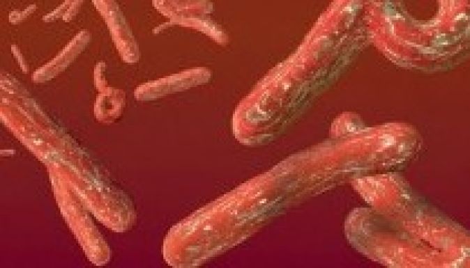 Megérkezett az életveszélyes vírus Európába