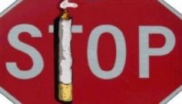 Dohányzás elleni petíciót fogalmaztak meg a tüdőgyógyászok