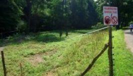 Áramütés miatt meghalt egy négyéves kislány Bakonycsernyén