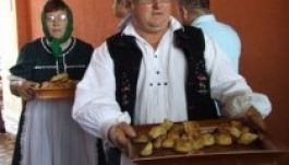 Turisztikai központ nyílt Szatmárnémetiben