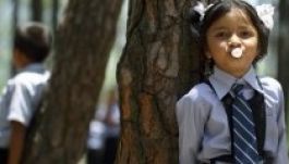 Ennyien még sosem öleltek fát egyszerre (GALÉRIA)