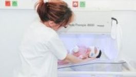 Ez volt a petesejt útja a romániai feketepiacon