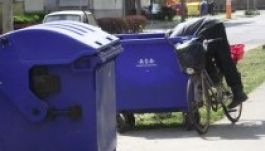 Ételmérgezést szenvedtek a kukából miccsező sepsiszentgyörgyiek