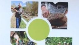 Integrált vidékfejlesztési projekt Háromszéken és Biharban