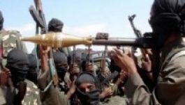 Negyven tehenet kér a Boko Haram minden elrabolt nőért