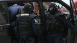 A marosvásárhelyi városházán vizsgálódik a DNA