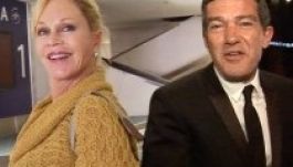 Válik Griffith Banderastól, és a kutyákat is megtartaná