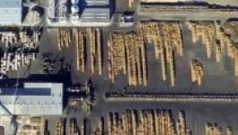 A Schweighofer vásárolja fel a romániai fa 15 százalékát