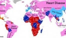 Elkészült az elhalálozások okának világtérképe