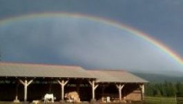 A nap fotója: szivárvány a farm fölött