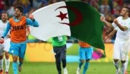 Hibátlan belgák, történelmi algériai továbbjutás