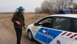 Elszabadult méhek miatt zártak le egy magyar autópályaszakaszt