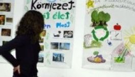 Húszmillió lejt különítettek el környezetvédelmi pályázatokra