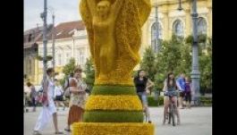 Virágból készült kupával tiszteleg Debrecen