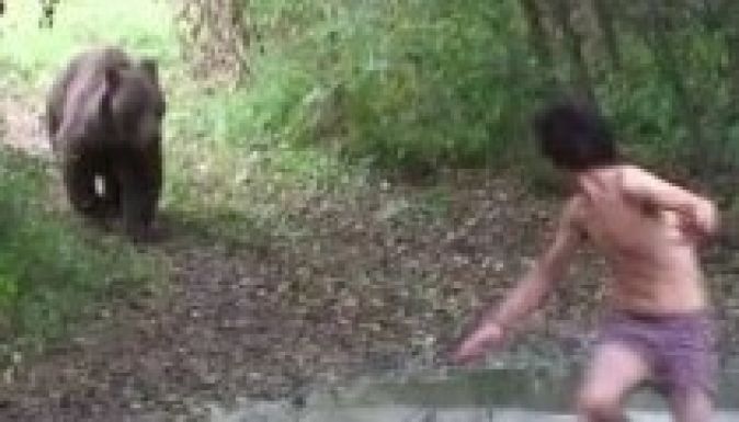 Rendszeresen támadnak a medvék Székelyföldön