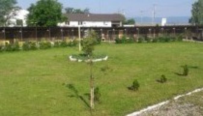 Gazdát váltott a sepsiszentgyörgyi kutyamenhely