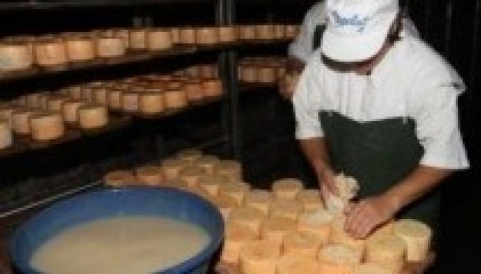 Nem kell az erdélyi tej a Napolactnak