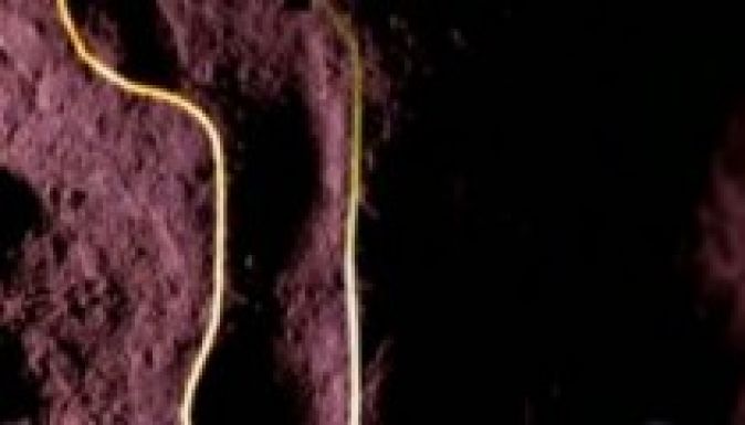 Erdély határában fedezték fel Európa legrégibb lábnyomait