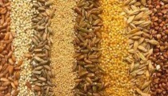 TÖRVÉNYTÁR: Hitellehetőség raktárba helyezett gabonáért