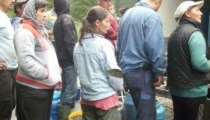 Erdeigyümölcs-tolvajokat füleltek le a gyergyói erdőkben