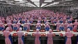 Rengetegen kínai hal meg évente a túlzásba vitt munka miatt