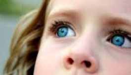 A kékszeműek közös őse nyolcezer éve születhetett