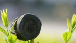 Vagyonba került a világ legkönnyebb anyagának egy darabja