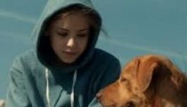 EP-díjra jelölték Mundruczó Fehér Istenét is