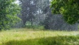 Ilyen lesz az időjárás a hét elején