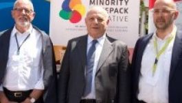 A FUEN teljes mellszélességgel kiáll az RMDSZ mellett