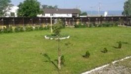 Gazdát váltott a sepsiszentgyörgyi kutyamenhely