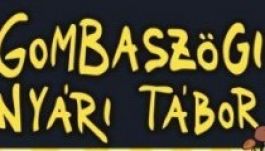 Magyar plakátja miatt jelentettek fel egy felvidéki tábort