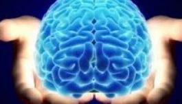 Kikapcsolom az agyam: valóság, megvan a kapcsoló