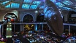 Ottalvós felnőttbulit szervez egy New York-i múzeum