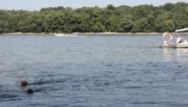 Valamiért nagyon veszélyes lett idén a Dunában lubickolni Budapesten