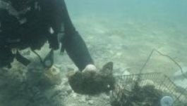 Háromezer éves várost találtak az Adria mélyén