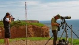 Bebörtönzött ukrán filmesnek gyűjt az Európai Filmakadémia