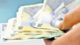 Jól keresnek a Hargita Gyöngye alkalmazottai