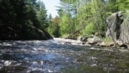 Eltűnt kiskorúakat keresnek az Olt vizében