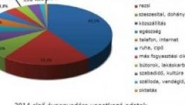 Mire futja egy romániai család költségvetéséből?