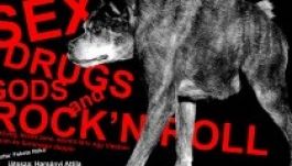 Szegeden tart ősbemutatót az Aradi Kamaraszínház