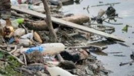 Szombaton kitakarítják az Olt folyót Csíkszereda és Tusnádfürdő között