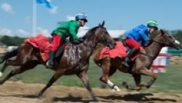 Megvan a Székely Vágta döntős mezőnye