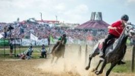 Lovasiskola és lovassportszervezői szak indul Szentgyörgyön