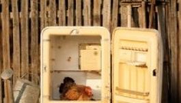 Augusztus végéig gyűjtik az elektromos és elektronikus hulladékot