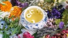 Főszezonja van a gyógynövények gyűjtésének Erdélyben