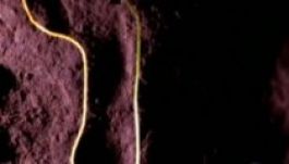 Erdély határában fedezték fel Európa legrégibb lábnyomait