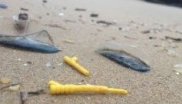 Mai napig hordja a víz a Lego-darabkákat az óceánpartra (GALÉRIA)