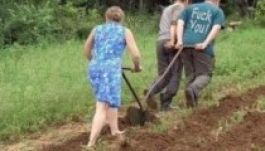 A romániai termésátlag a leggyengébb az EU-ban